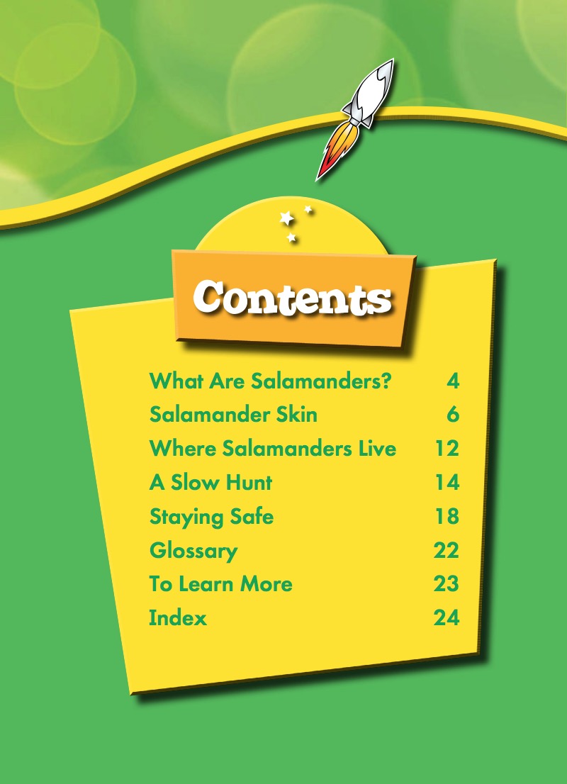 Salamanders: Backyard Wildlife book cover