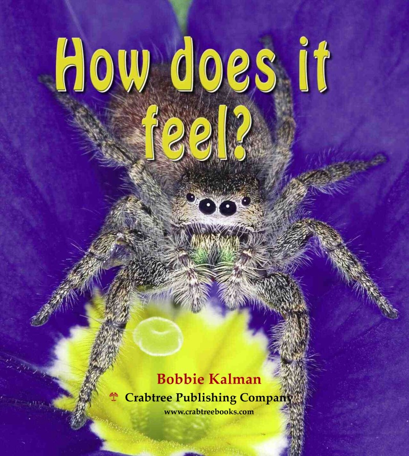 How Does It Feel? book cover