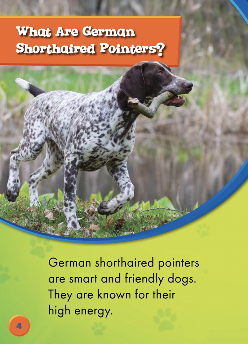 German Shorthaired Pointers — page 1