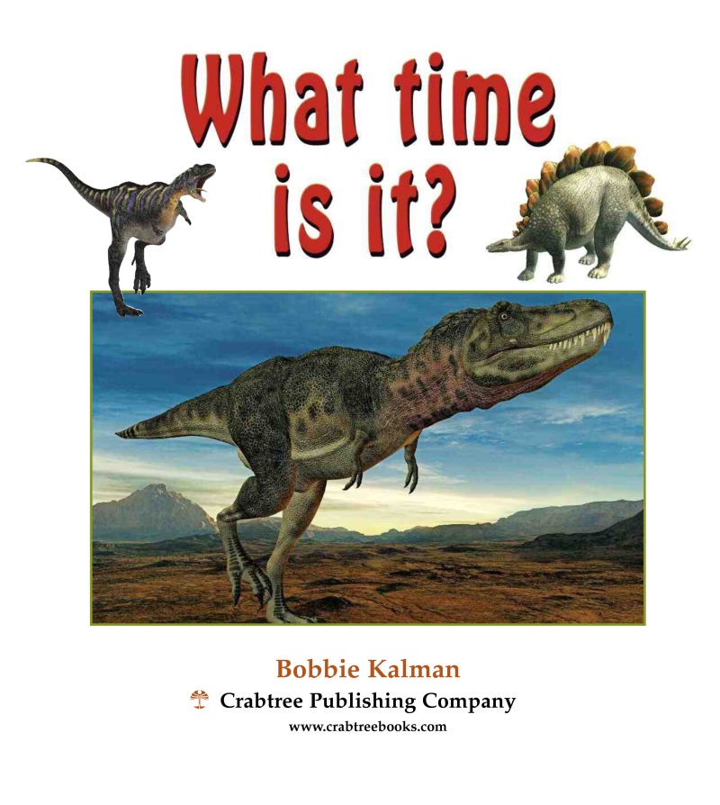 What Time is It? book cover