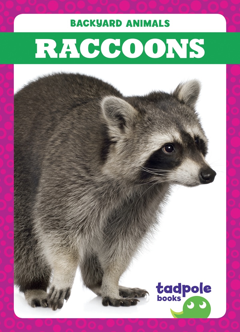 Backyard Animals: Raccoons book cover