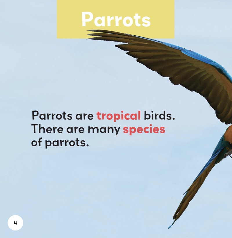 Parrots — page 1