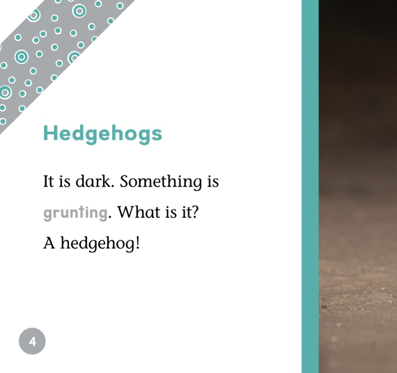 Hedgehogs — page 1