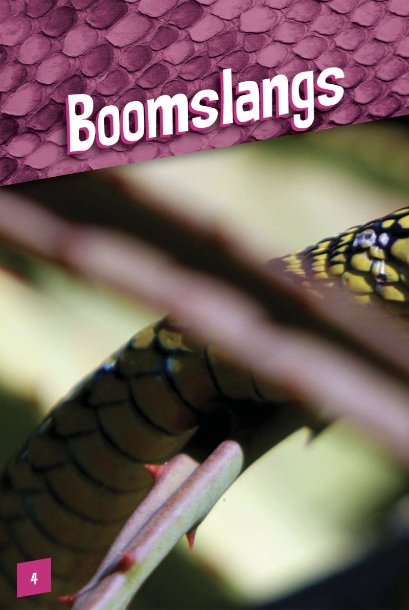 Boomslangs — page 1