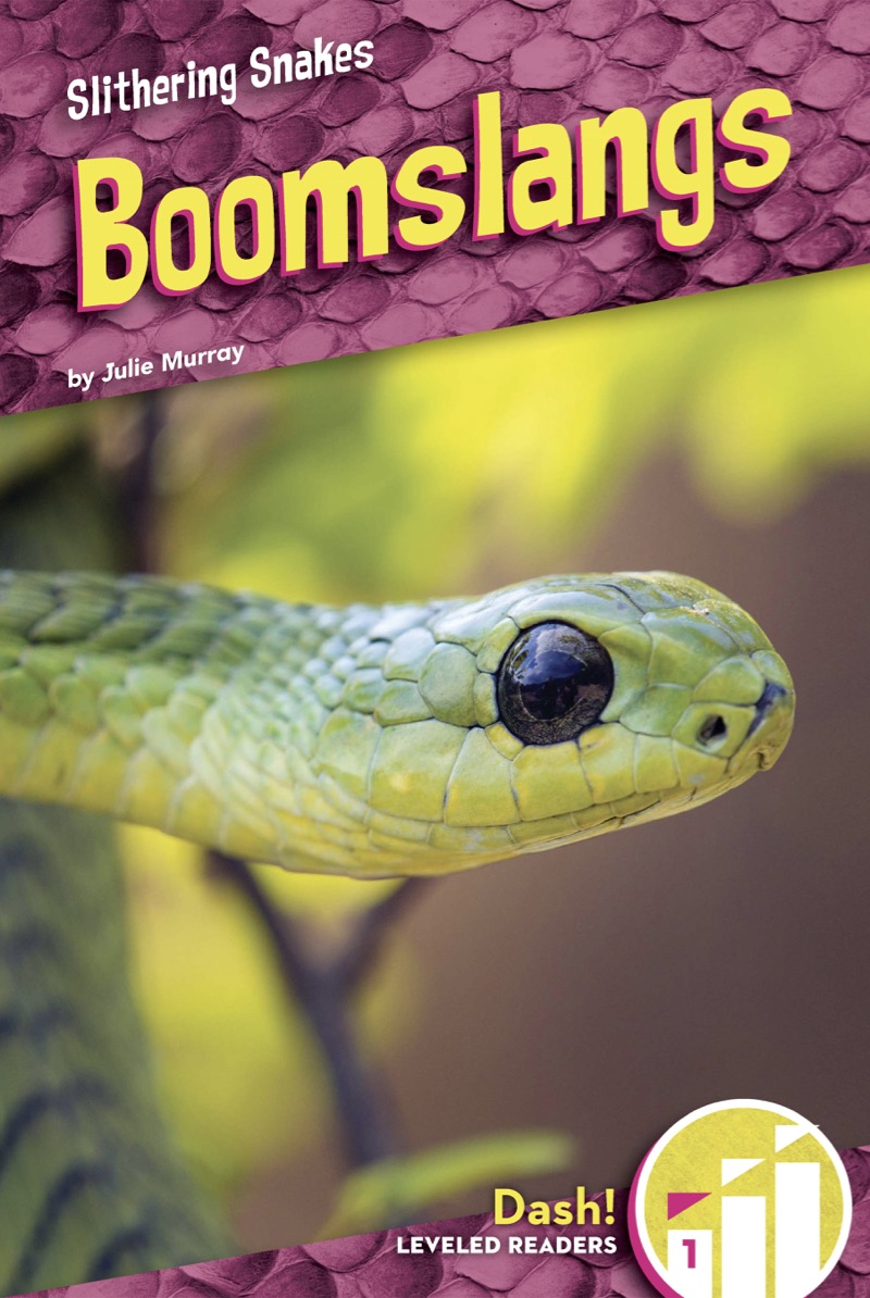 Boomslangs book cover