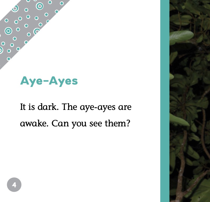 Aye-Aye — page 1