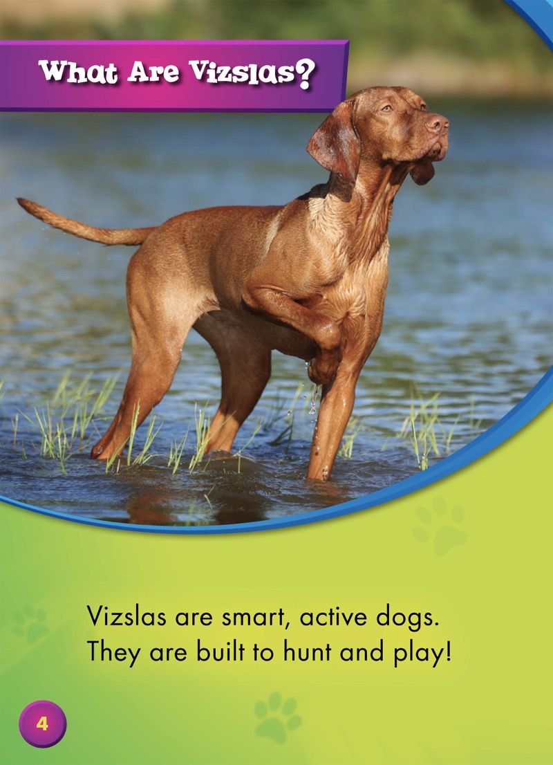 Awesome Dogs: Vizslas — page 1