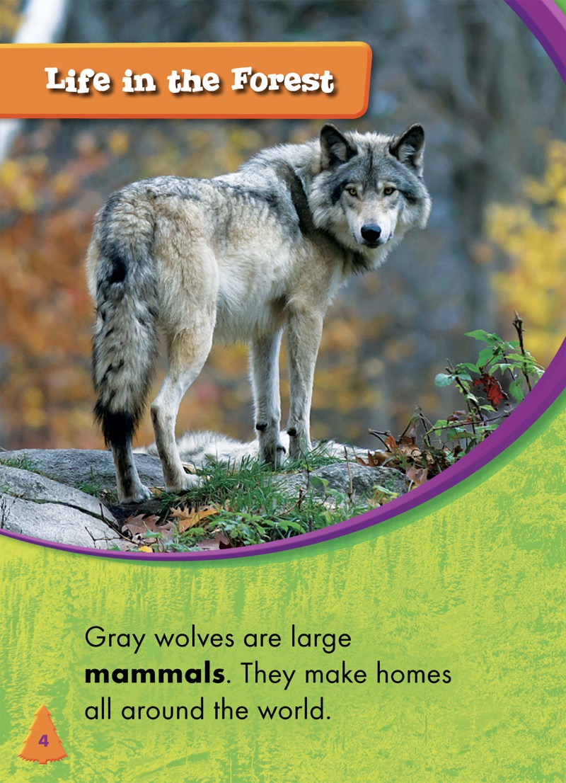 Animals of the Forest: Gray Wolves — page 1