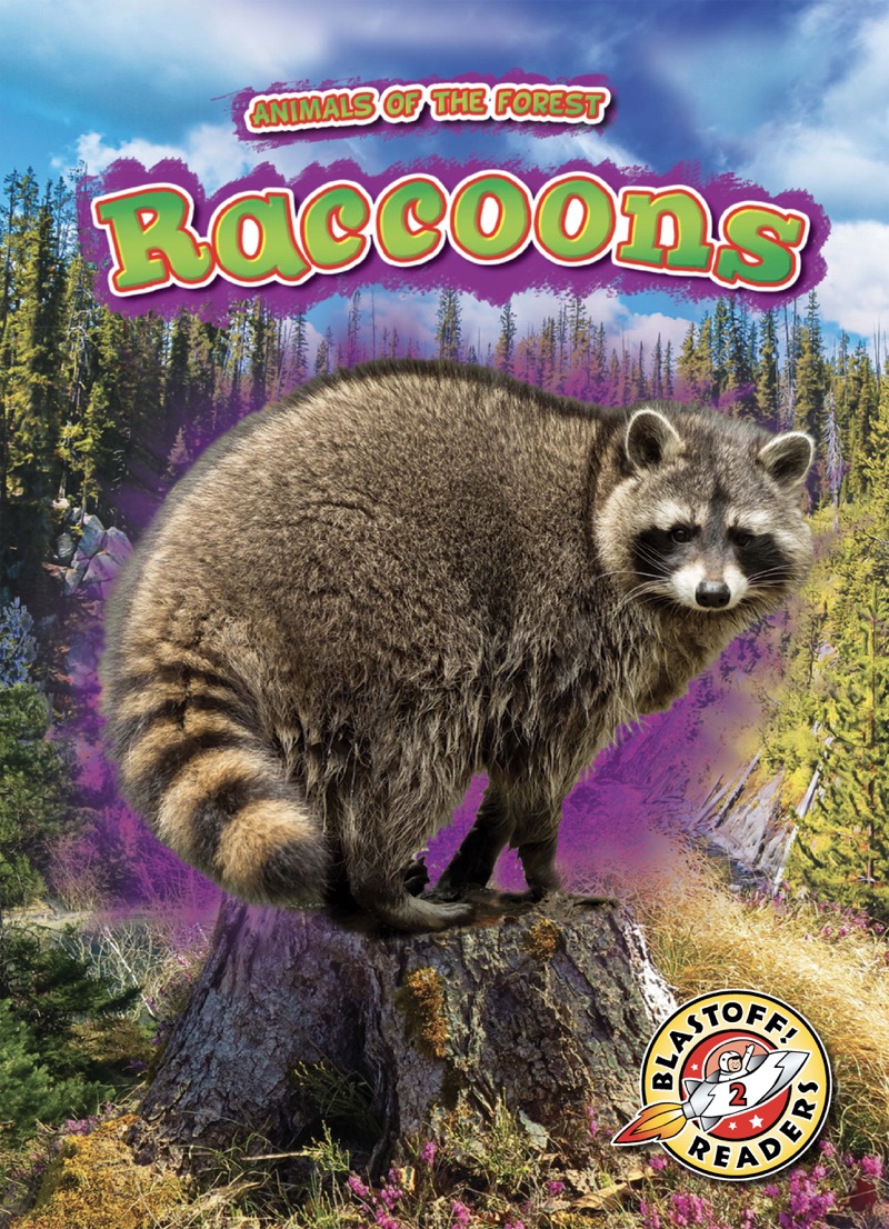 Animals of the Forest: Raccoons book cover