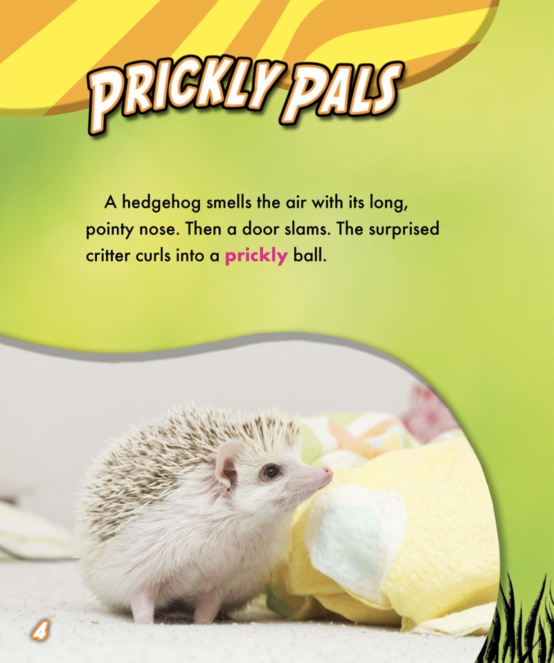 My Pet Hedgehog — page 1