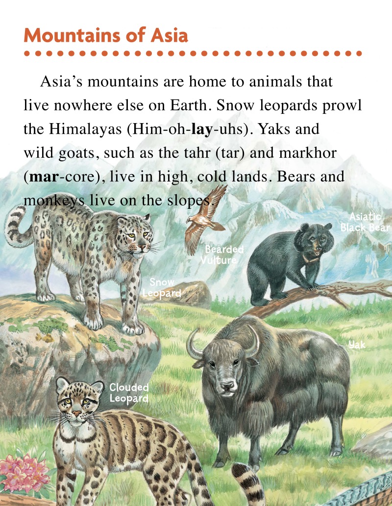 Animals of Asia — page 1