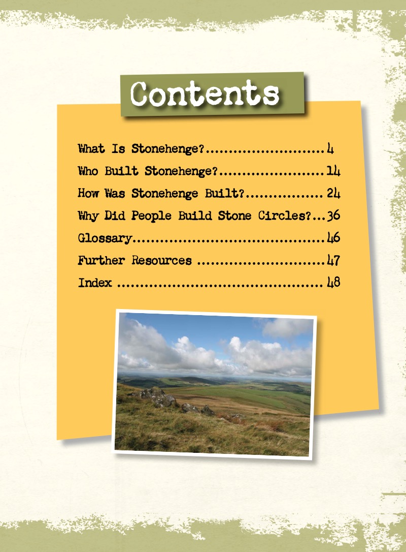 What Was Stonehenge For? book cover