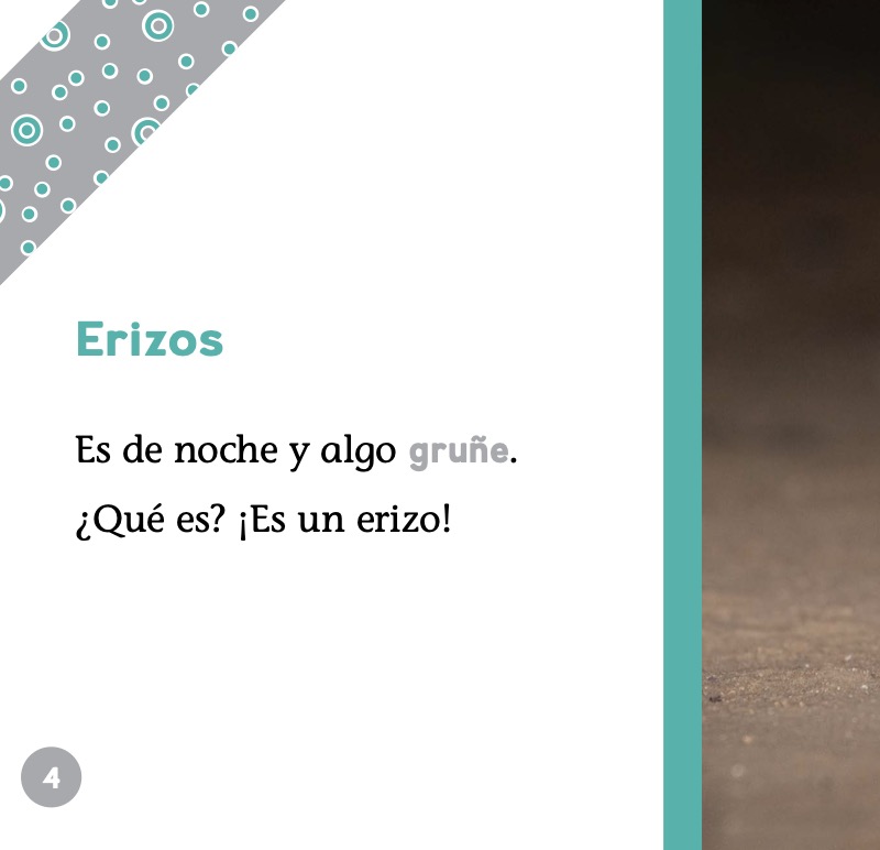 Animales nocturnos: Erizos — page 1