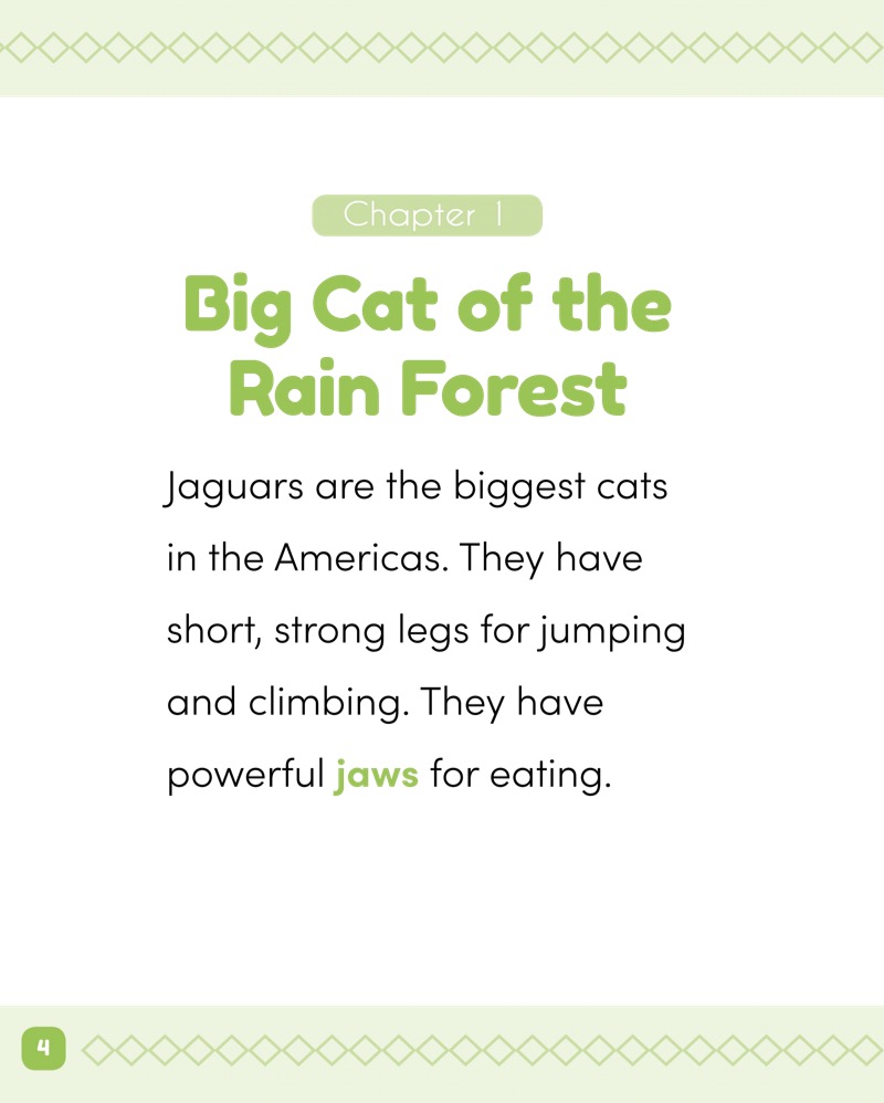 Rain Forest Animals: Jaguars — page 1