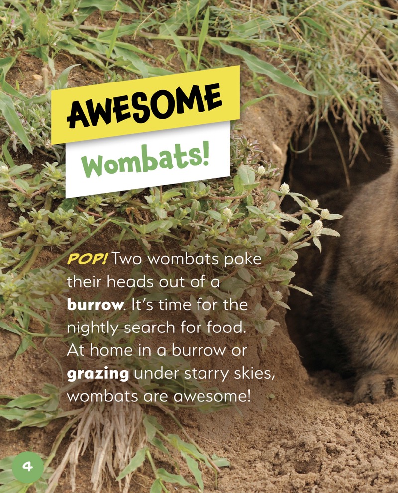 Awesome Animals: Wombat — page 1