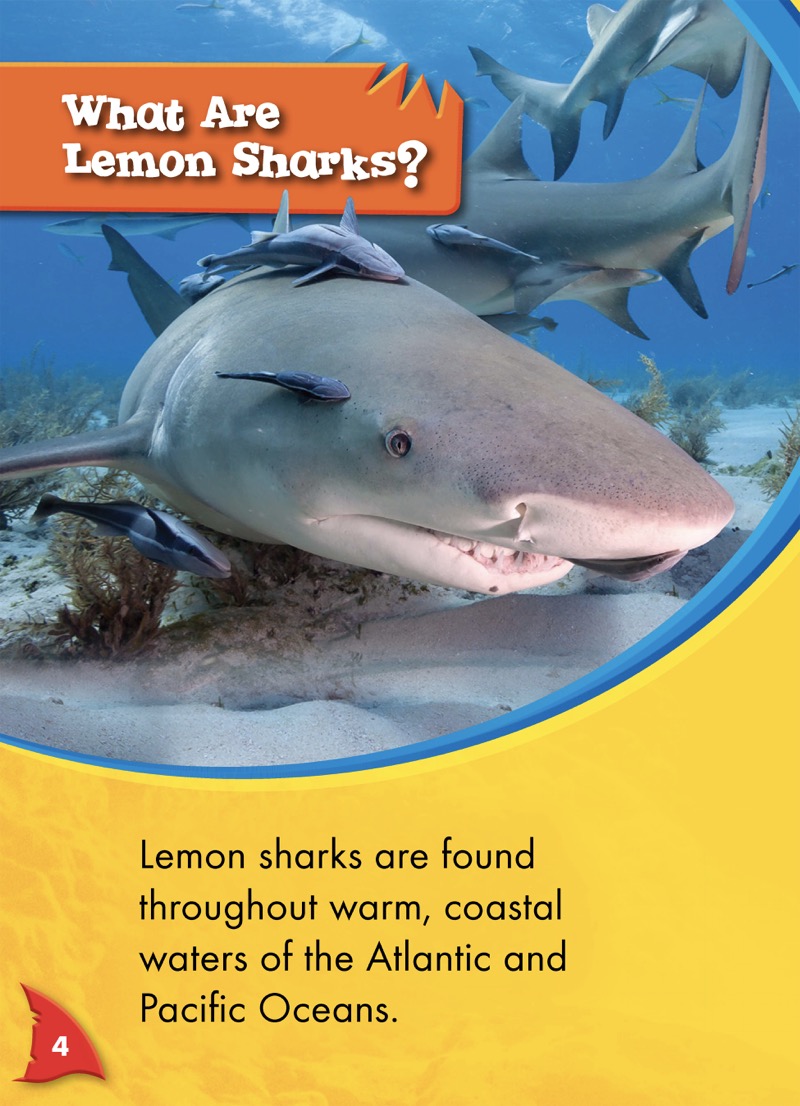 Shark Frenzy: Lemon Sharks — page 1