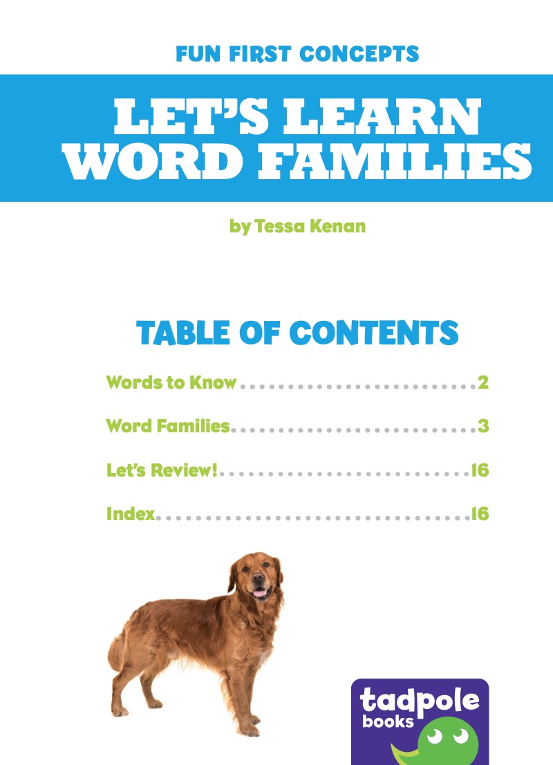 Let's Learn Word Families book cover