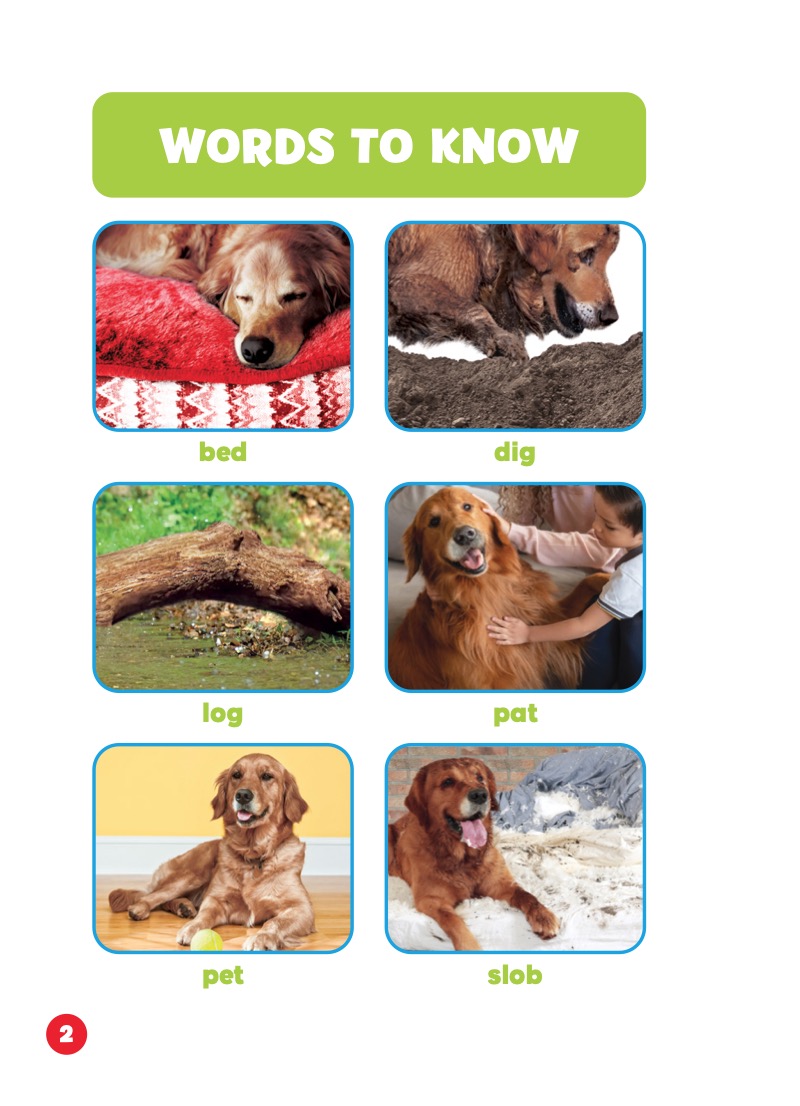 Let's Learn Word Families — page 1