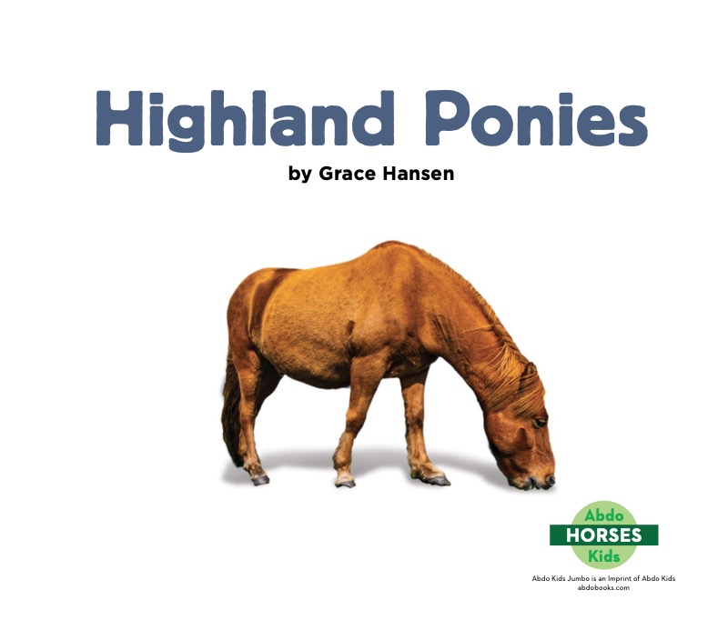 Highland Ponies book cover