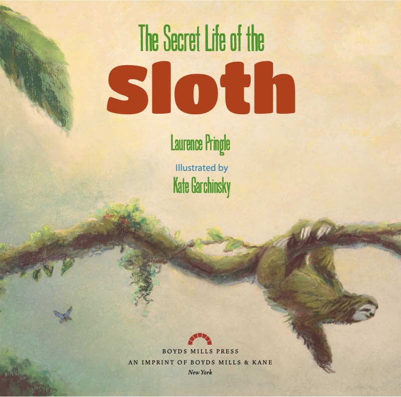 The Secret Life of the Sloth book cover