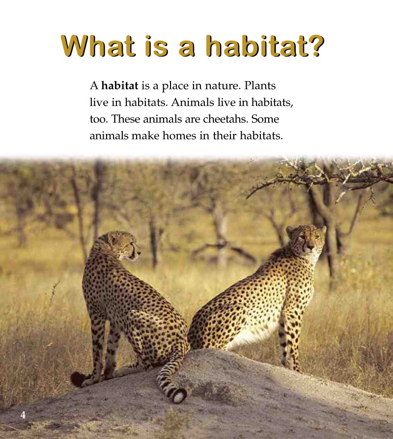 A Savanna Habitat — page 1