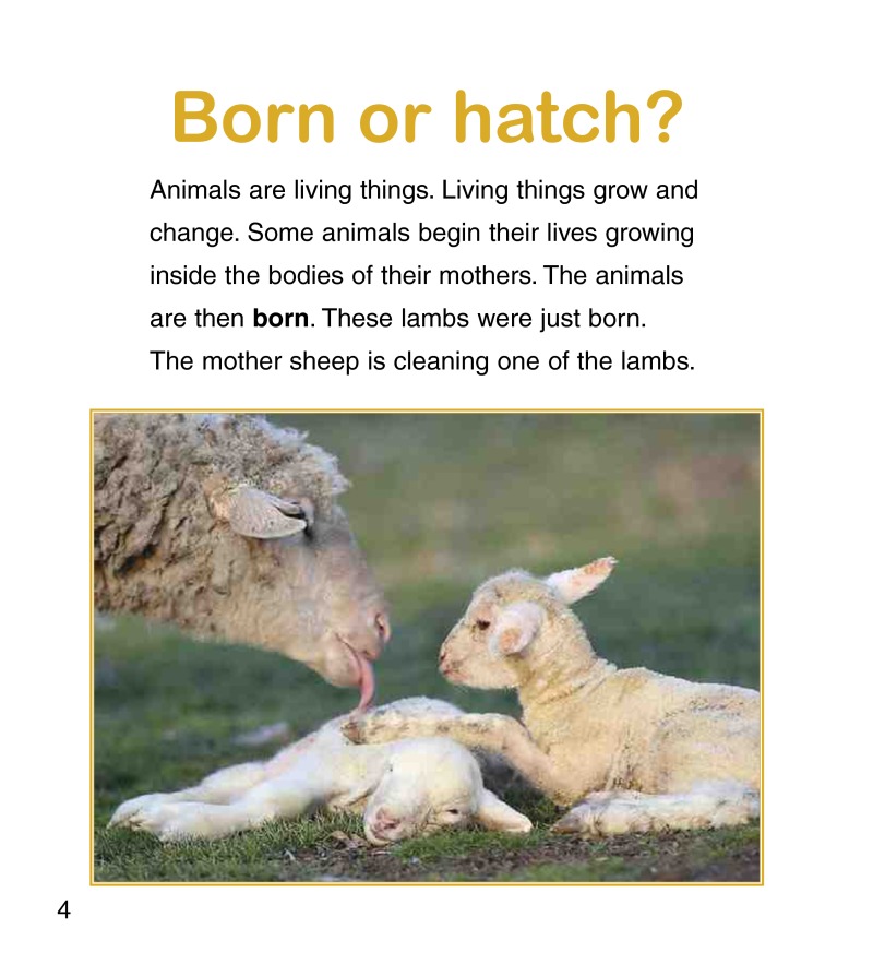 Animals Grow and Change — page 1