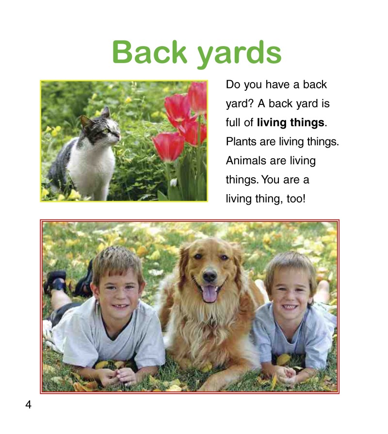 Living Things in my Backyard — page 1