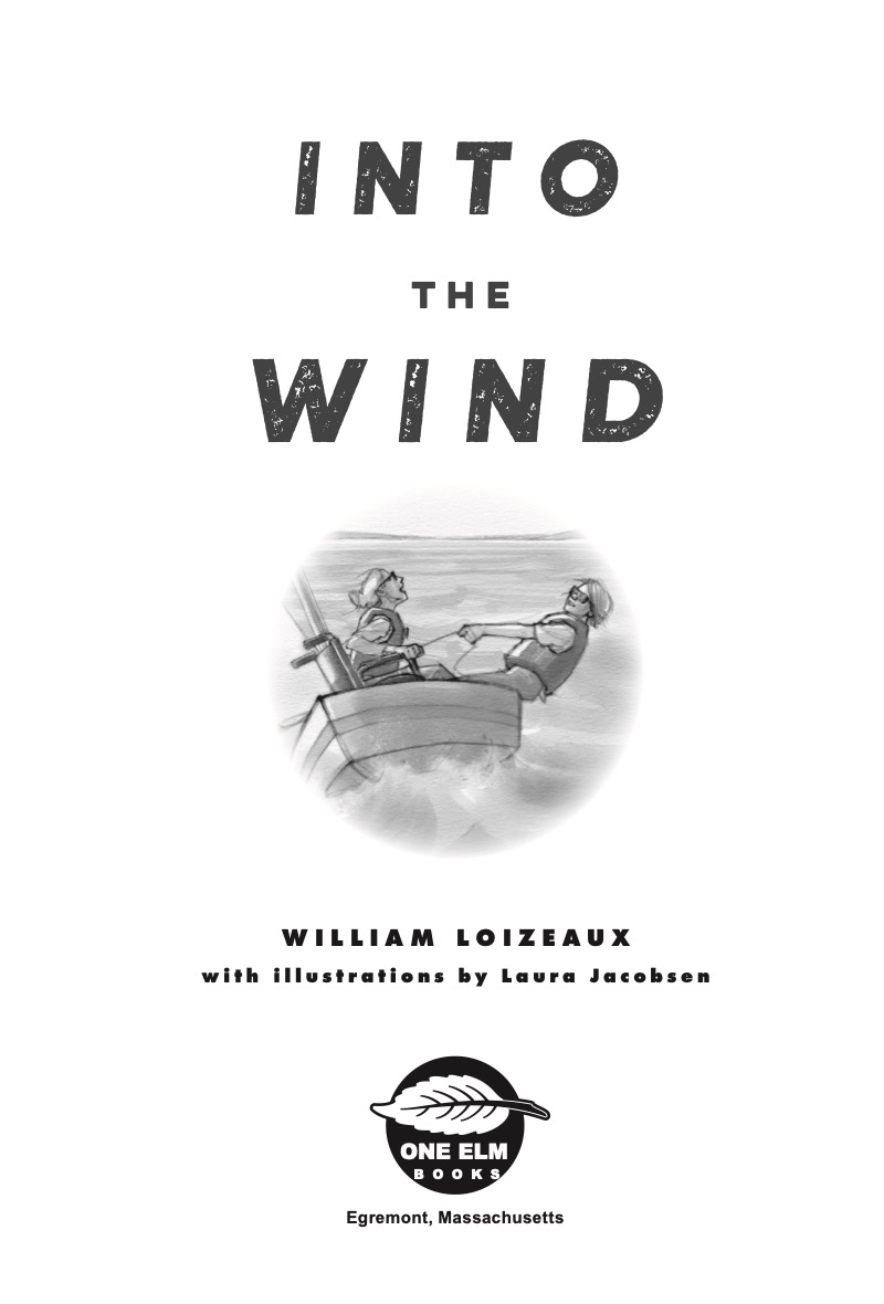 Into the Wind book cover