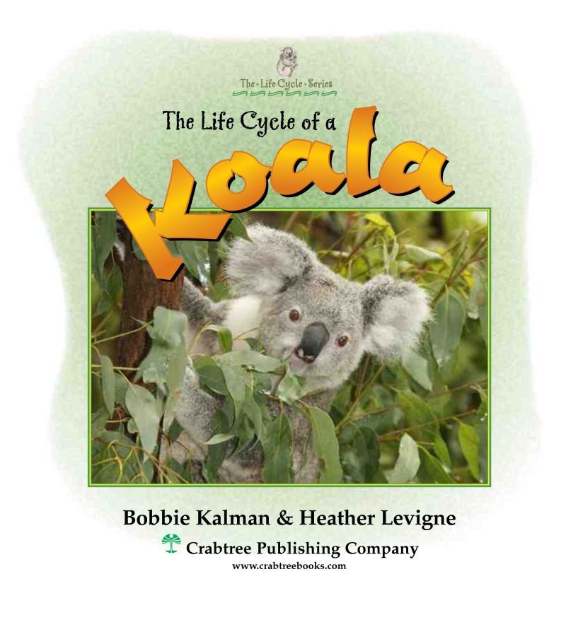 The Life Cycle of a Koala book cover