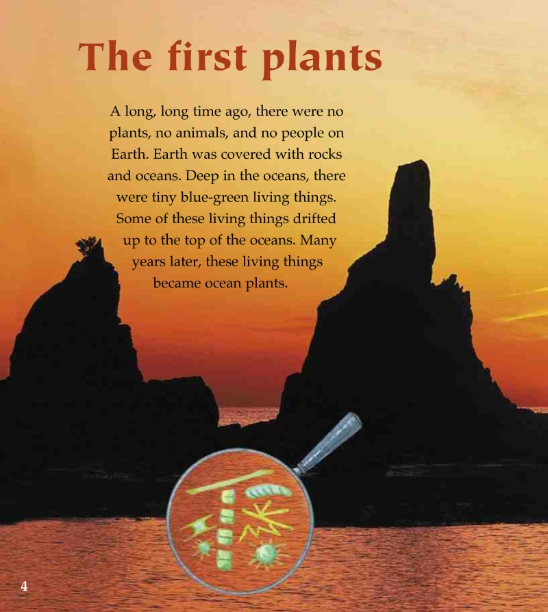 Photosynthesis: Changing Sunlight into Food — page 1