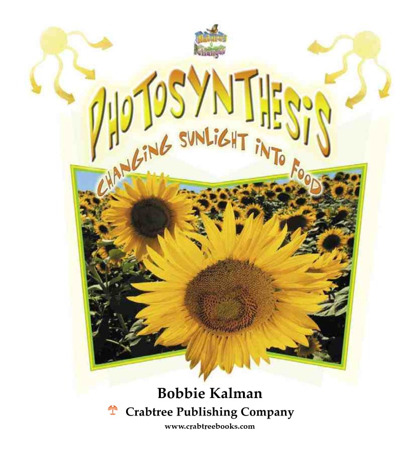 Photosynthesis: Changing Sunlight into Food book cover