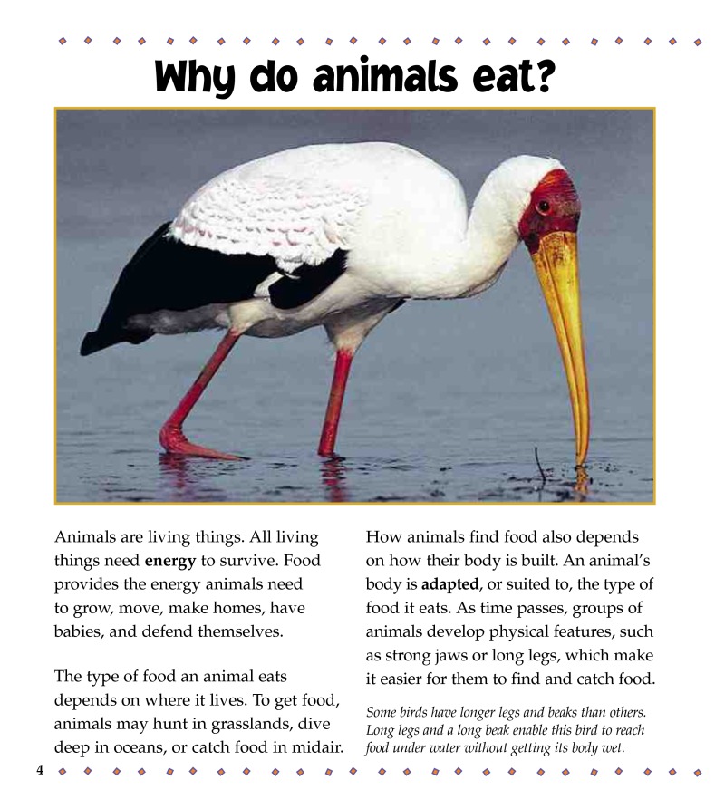 How do Animals Find Food? — page 1