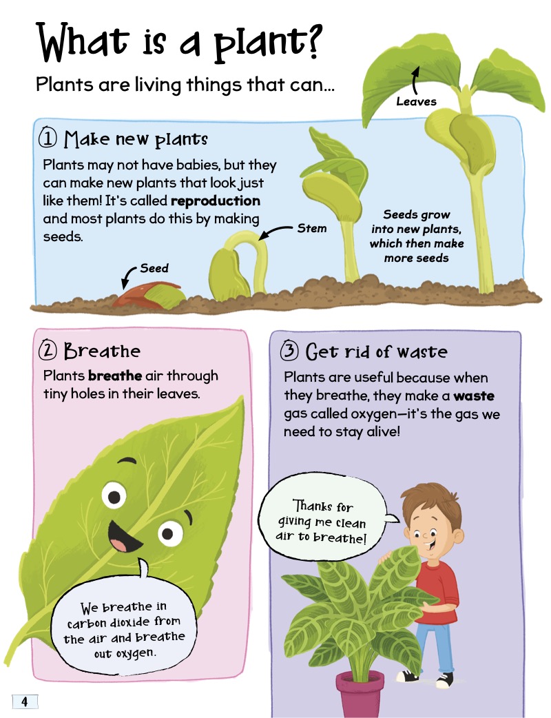 Curious Questions and Answers About... Plants — page 1