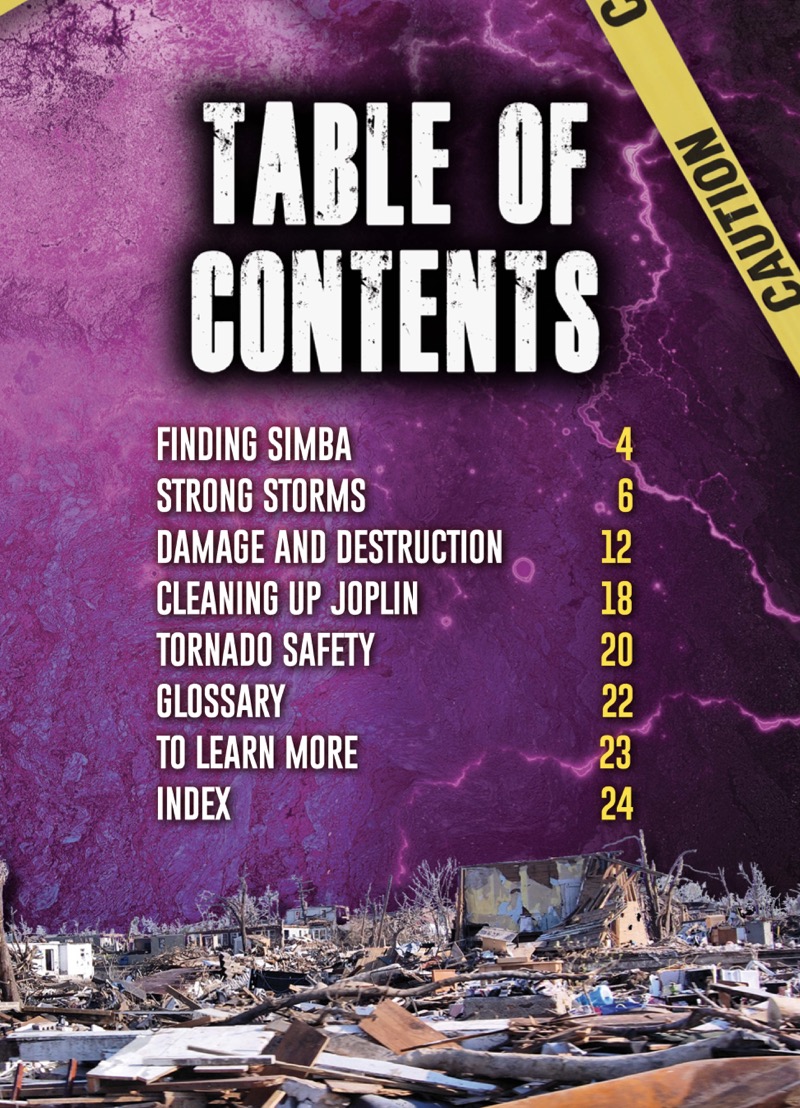 Deadly Disasters: The Joplin Tornado book cover