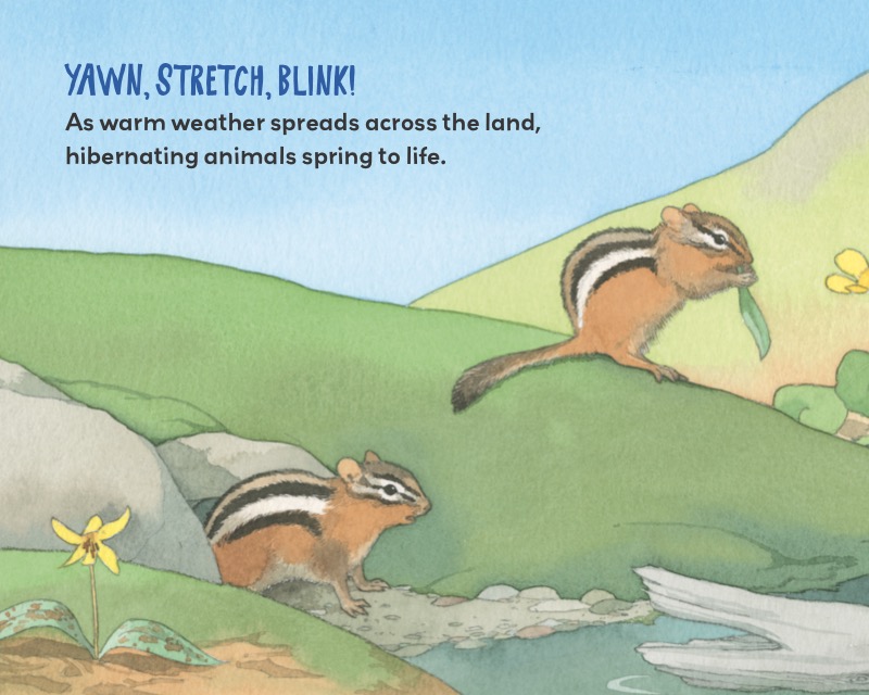Summertime Sleepers: Animals that Estivate — page 1