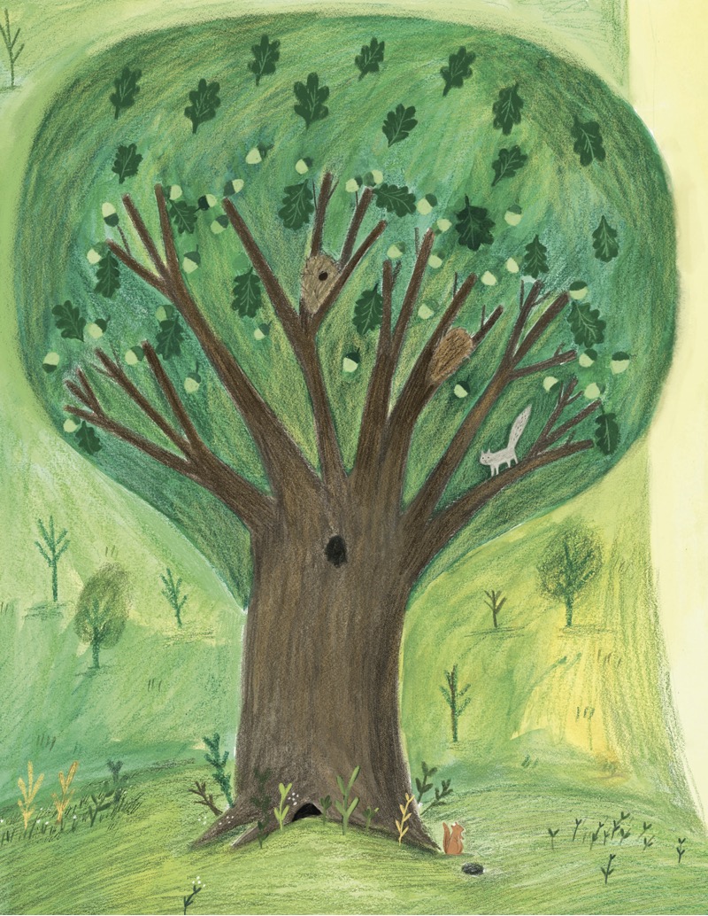 A Tree Is a Home — page 1