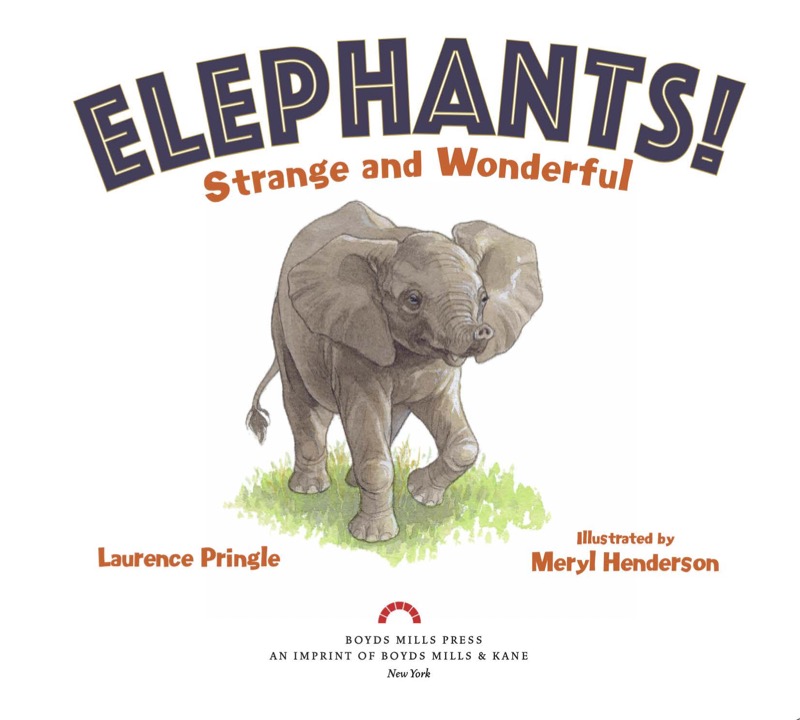 Elephants!: Strange and Wonderful book cover