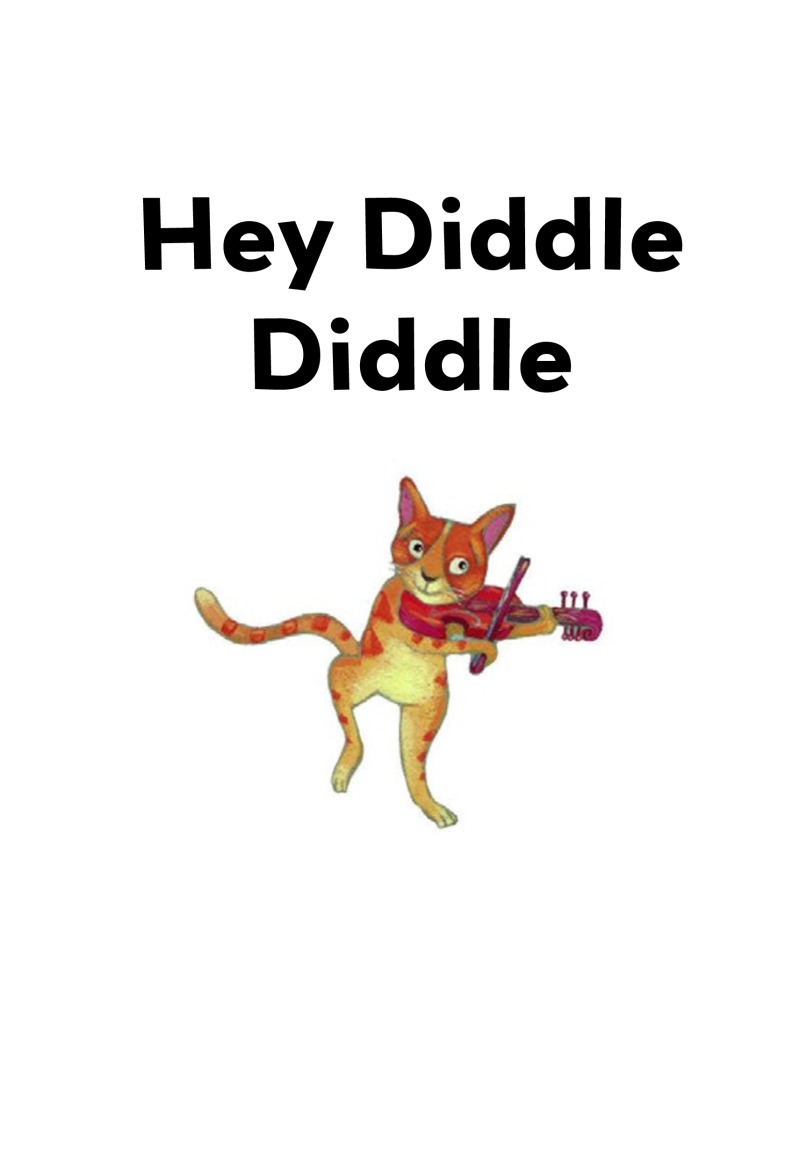 Hey Diddle Diddle - Hey Diddle Doodle book cover
