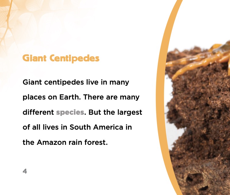 Spooky Animals: Giant Centipedes — page 1