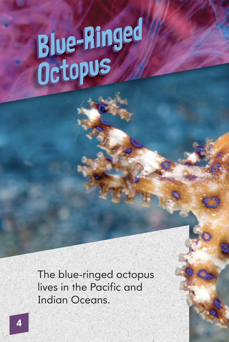 Animals with Venom: Blue-Ringed Octopus — page 1