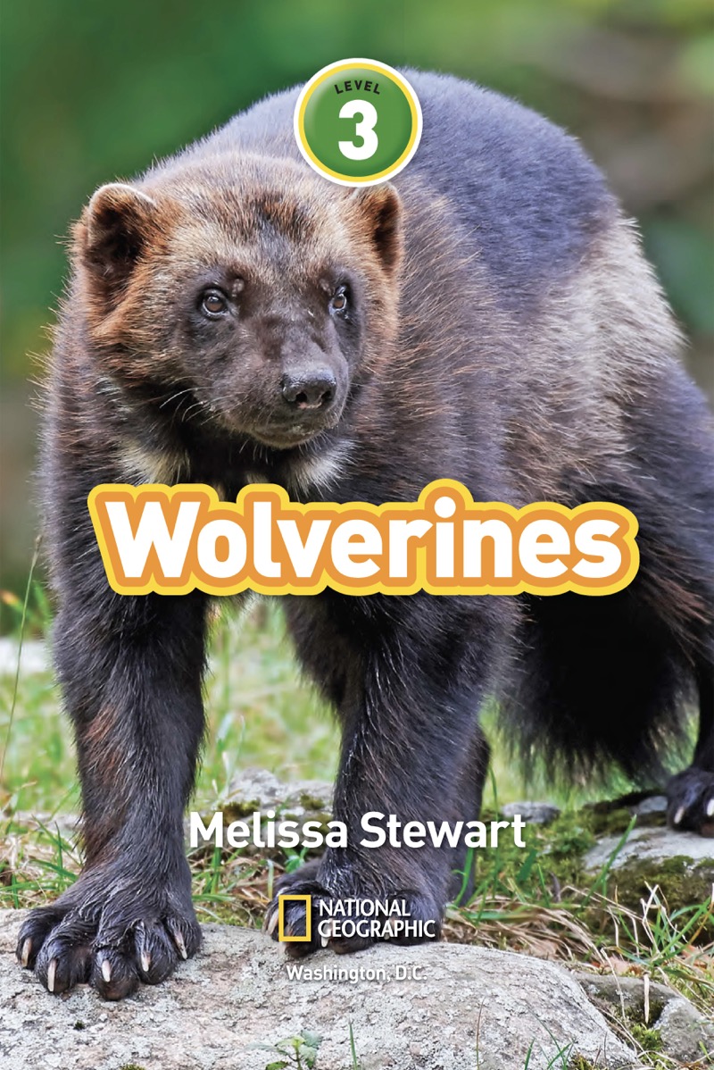 National Geographic Readers: Wolverines book cover
