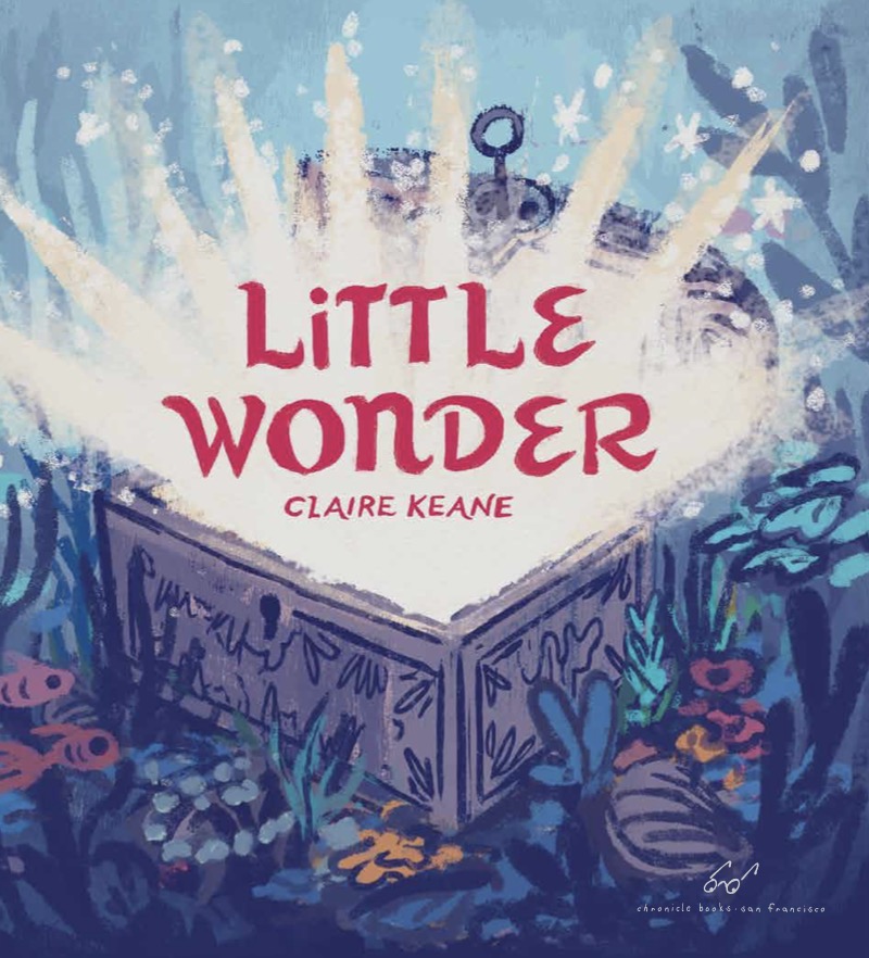 Little Wonder book cover