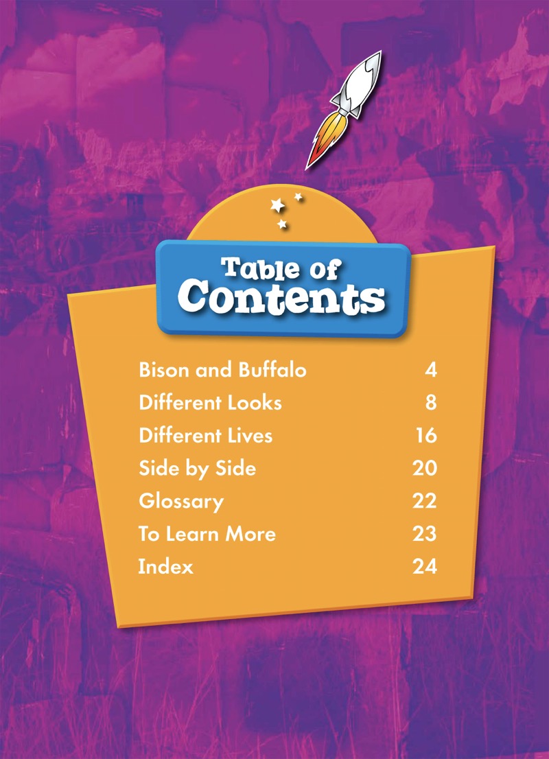 Spotting Differences: Bison or Buffalo? book cover