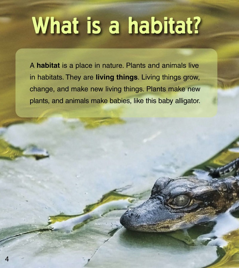 Baby Animals in Wetland Habitats — page 1