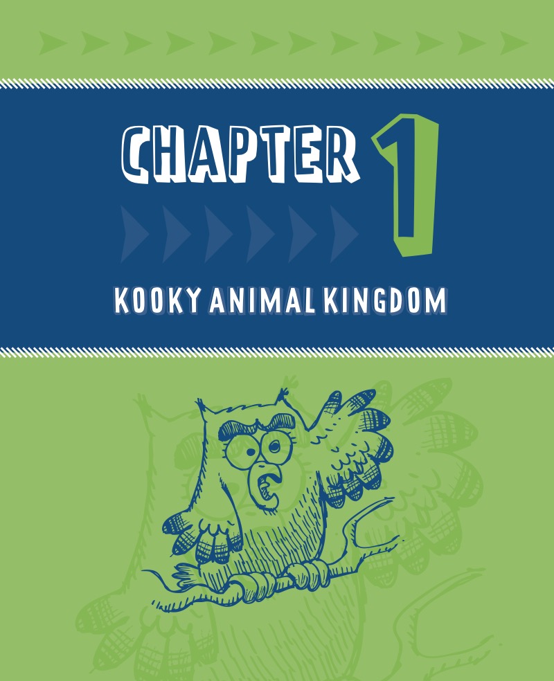 The Super Duper Joke Book Volume 1 — page 1