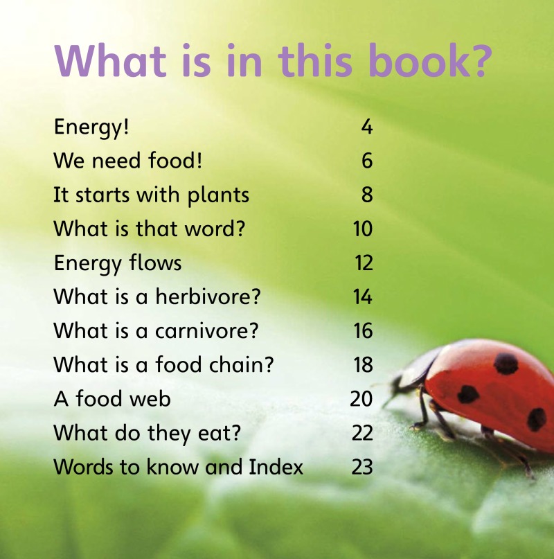 What Is a Food Chain? book cover