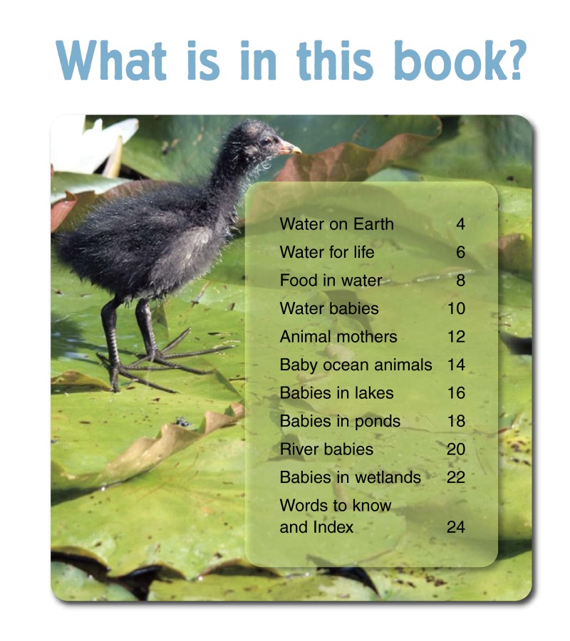 Baby Animals in Water Habitats book cover