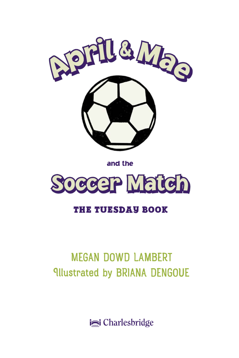 Every Day with April & Mae Book 3: April & Mae and the Soccer Match book cover
