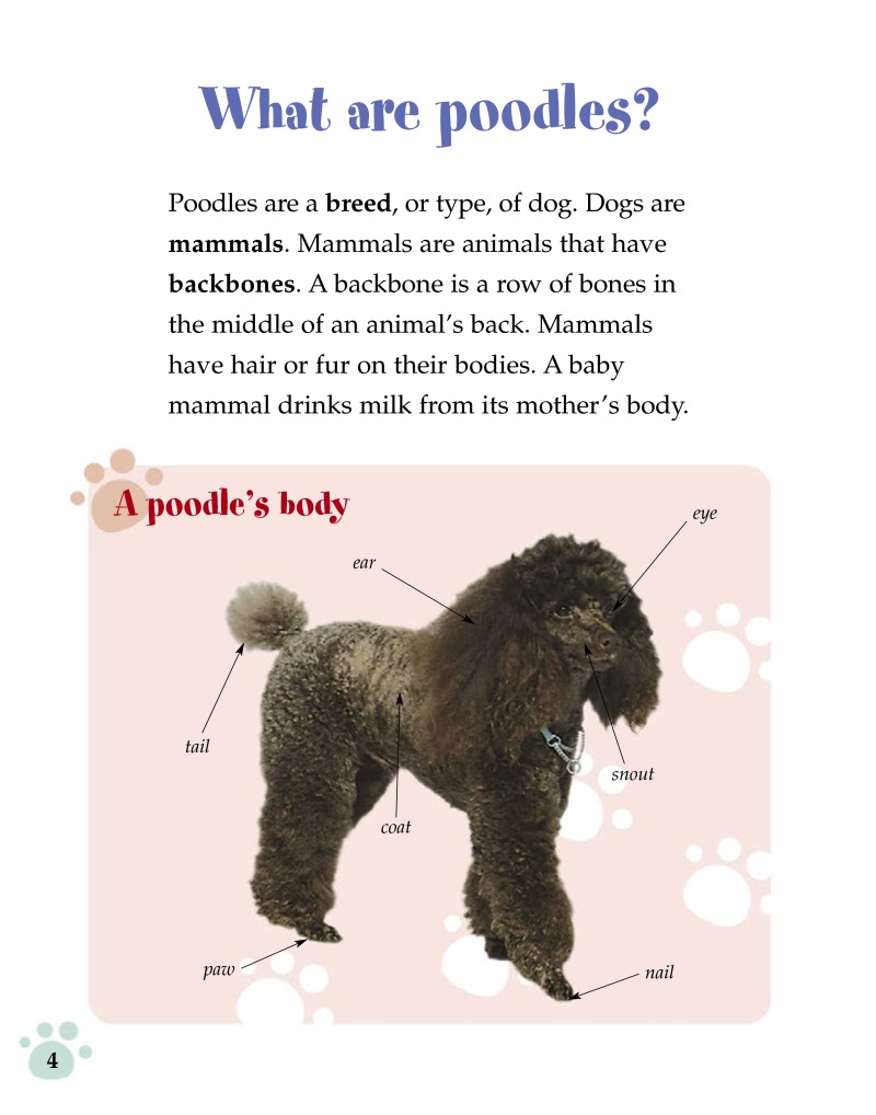 Poodles (Pet Care) — page 1