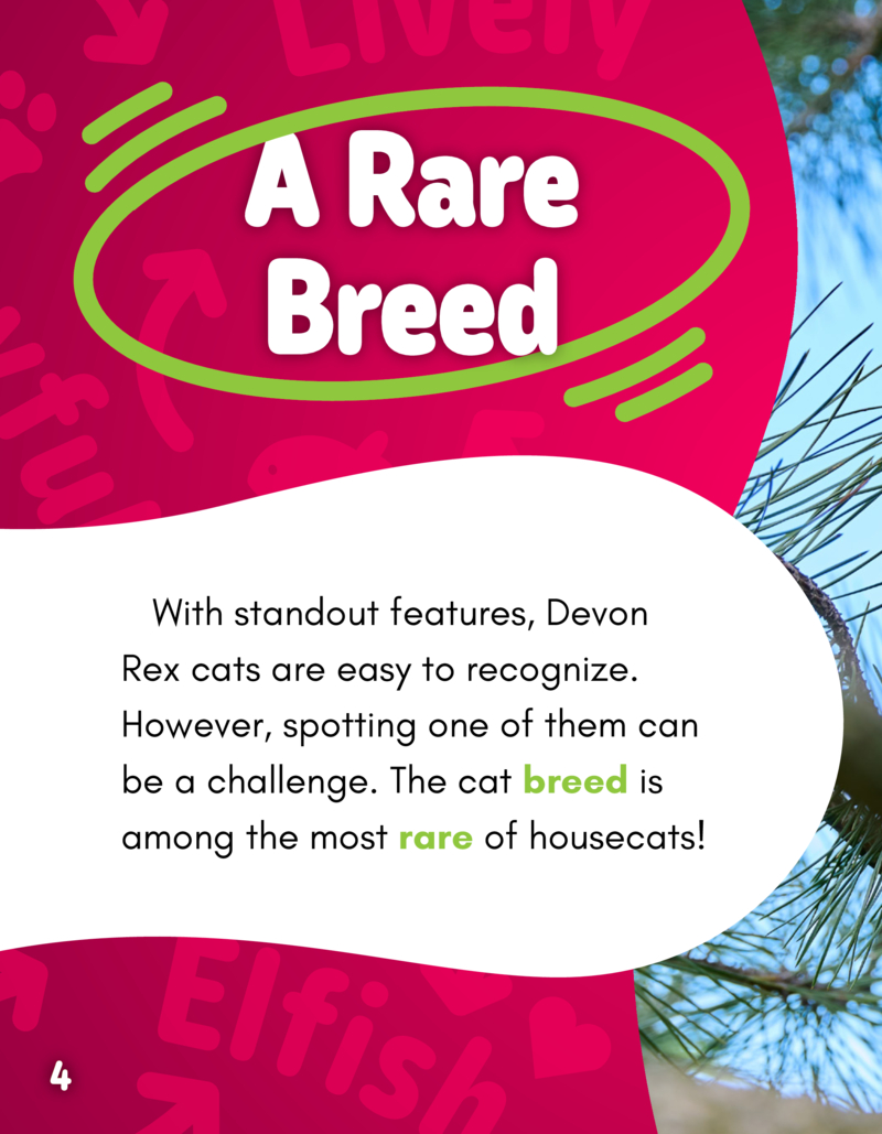 Hello Kitty Cats! Devon Rexes — page 1